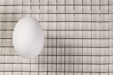 Egg Placed On Grid