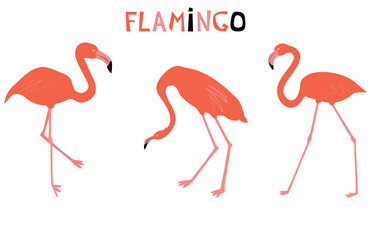 Vector illustration with red flamingo. Cute cartoon character. Flat style.
