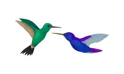Fotobehang Kolibrie Colibri of kolibrie met kloppende vleugels en vectorset met helder verenkleed