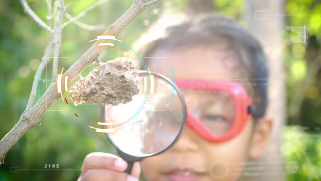 Asian little girl examining wasp's nest through a magnifying glasswith digitally generated holographic display tech data visualization. Concept of self learning trips lifestyle in springtime.
