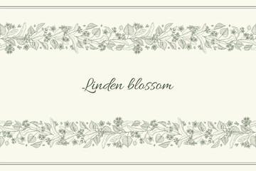 Linden branches flowers and leaves herbal seamless border. Hand drawn botanical sketch style. Vector illustration. Retro vintage graphic design.
