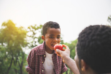 Father gives red apple to his son, african american dad handed an apple to his son, Happiness family in park concepts