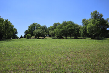 Obraz premium IMG_0163_1.JPG