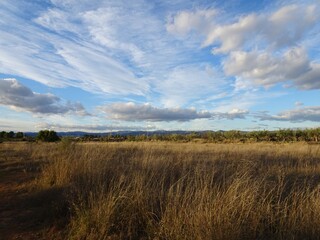 Blue Sky over Grass Landscape