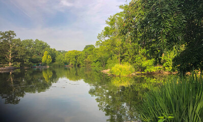 Fototapeta premium 7D8574C1-74E1-4F2B-9F6F-66F63F610A1F.jpeg