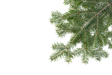 Nature winter background with snowy close-up of fir branches. Spruce branches, on a white background, top view. Winter christmas border with copy space