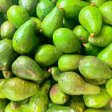 avocado fruit in the market