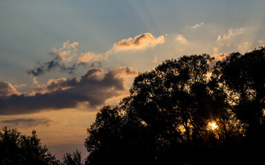 The rays of the setting sun in the blue sky with clouds on the background of trees
