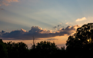 The rays of the setting sun in the blue sky with clouds on the background of trees
