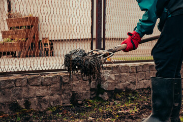 Young man improves soil fertility with fecal matter and hay. Young farmer shakes manure into...