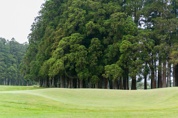 Golf course, San Miguel island