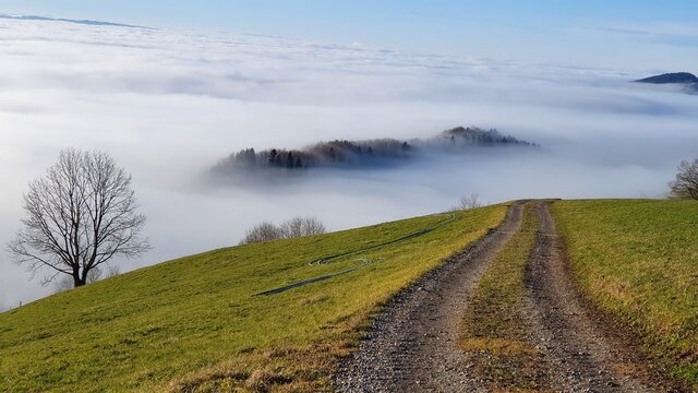 Nebel wandert &uuml;ber Kuppe