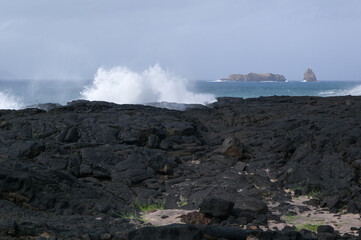 Fototapeta na wymiar Volcanic lava of Pico island, Azores