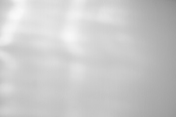 drop shadow on white wall background