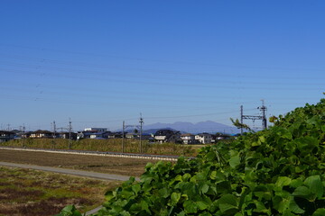 地元のちょっとした高台からの風景です。冬場になると景色が透き通って見えます。奥にある山もくっきりと姿を見せてくれます。目の前には線路が通っており運が良かったら電車が観れるかもです。