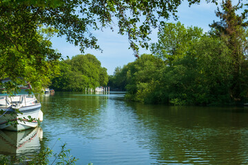 The River Thames, Shepperton, Surrey, UK.