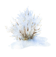 A snow-covered bush hand drawn in watercolor isolated on a white background. Watercolor winter illustration. 