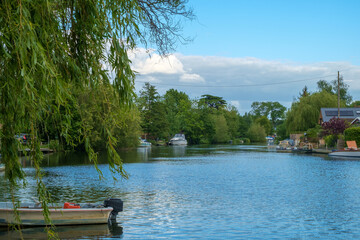 The River Thames, Shepperton, Surrey, UK.