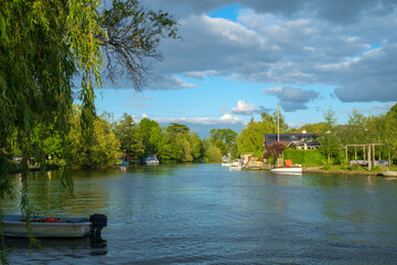 The River Thames, Shepperton, Surrey, UK.