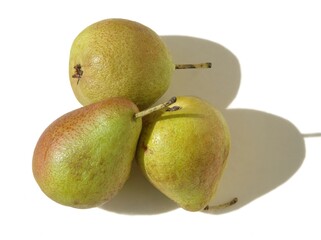 Three little forelle pears in the sunshine