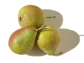 Fototapeta premium Three little forelle pears in the sunshine