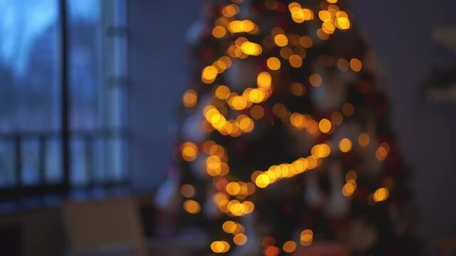 4k, defocus background christmas tree in room for interview