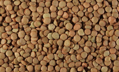 Green lentils pile background and texture
