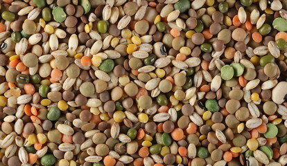 Mixed legumes and cereals, peeled barley, green, yellow and dark red lentils, half green peas, black white beans, green beans background and texture, top view - obrazy, fototapety, plakaty
