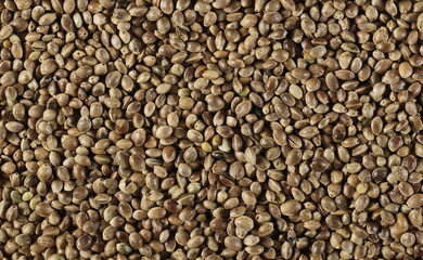 Hemp seeds background and texture, top view
