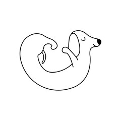 Dachshund practices yoga back bending. Yoga dog, relaxation and sports. Vector isolated doodle illustration. Hand drawn animal black and white puppy icon
