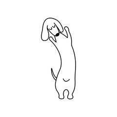 Dachshund practicing yoga side bending. Yoga dog, relaxation and sports. Vector isolated doodle illustration. Hand drawn animal black and white puppy