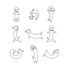 Dachshund practices yoga and meditates. Set Yoga dog, relaxation and sports. Different poses for training. Vector isolated doodle illustration. Hand drawn animal black and white