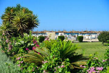 view of the sea beach from the street area of the hotel