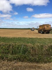Fototapeta premium travaux agricoles