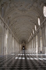 Venaria Reale, Palazzo di Venaria