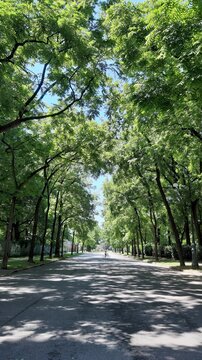 Torino, Parco Del Valentino