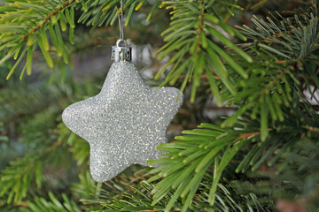 Silberner Stern am Weihnachtsbaum
