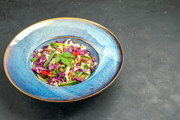 front view fresh cabbage salad inside plate on dark background health diet salad meal ripe