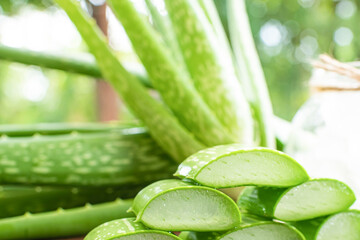 Aloe Vera on product display wood counter background. aloe vera is tropical green plants. Sliced Aloe Vera natural organic renewal cosmetics, alternative medicine. Organic Skin care concept.