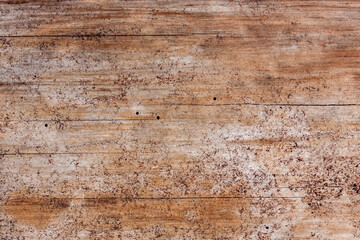Natural wood background. Detailed graphic resource
