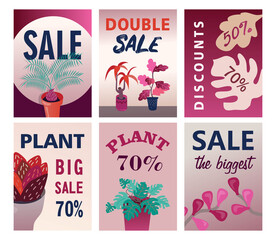 Sale flyers set with home plants. Pots with palm, sansevieria, monstera, discount percent vector illustrations with text. Gardening and retail concept for shop posters and invitation cards design