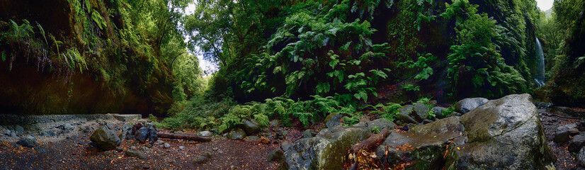 La Palma Dschungel mit Wasserfall