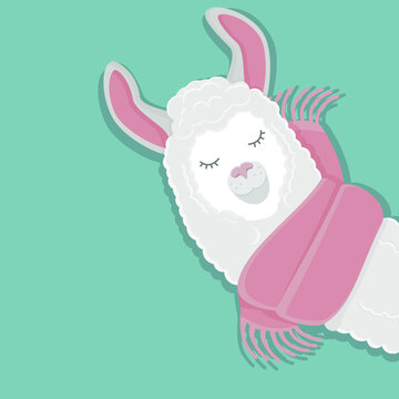 Vector image of a funny llama in a scarf. Flat alpaca illustration for creating postcards, posters, websites.