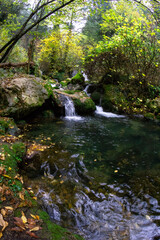 Naklejka premium wonderful waterfalls of the cypress forest of fontegreca