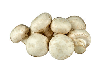 
vegetables, mix, ginger, cabbage, onion, honest, cucumbers, Chinese cabbage, bell pepper, capi pepper, hot pepper, chili, zucchini, eggplant, tomatoes, mushrooms, closeup, isolated, on a white backgr