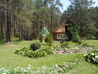 Fototapeta na wymiar house in the garden