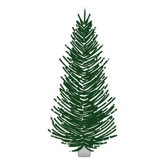 Isolated naked christmas tree with no decorations - Vector illustration