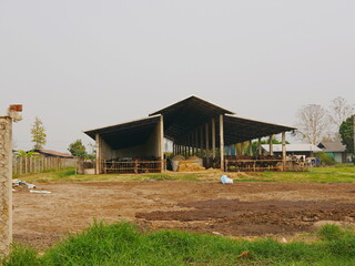 A dairy farm with cows and wide open field for drying off cow poo