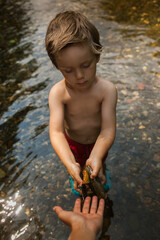 niño rubio metido en el río entrega a otra mano las piedras y palos encontrados