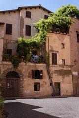 Fototapeta na wymiar Green on little houses in Rome